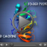 Screenshot of the video showing how chlorine affects a bacterial protein.