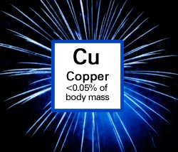 Copper. <0.05% of body mass.