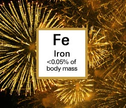 Iron. <0.05% of body mass.