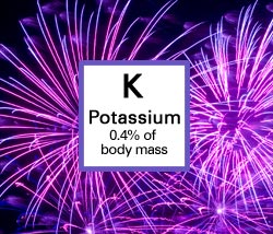 Potassium. 0.4% of body mass.